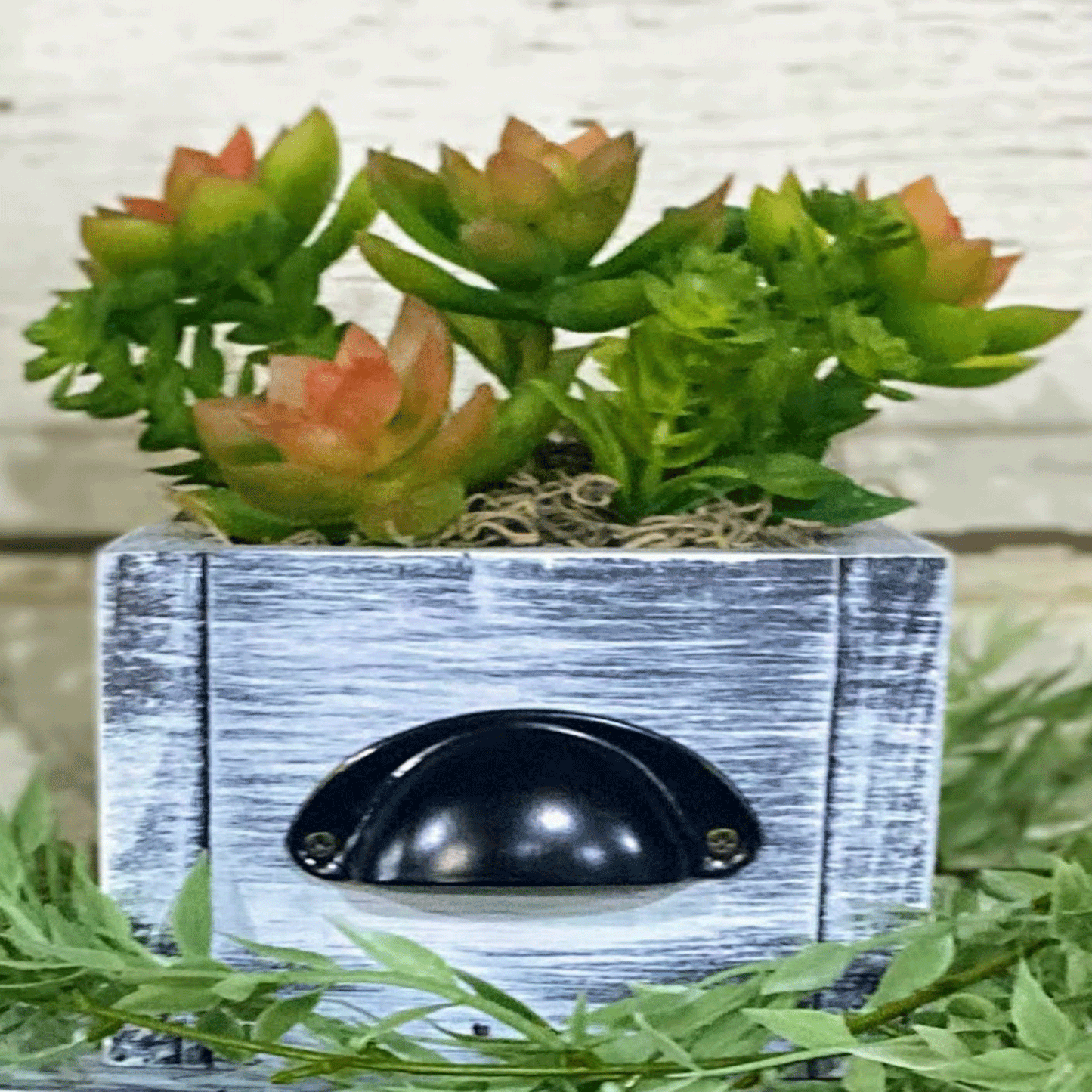 Rustic Succulent Centerpiece - Succulent Box - Succulent Decoration