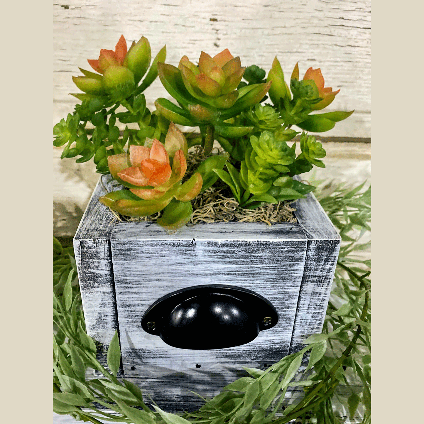 Rustic Succulent Centerpiece - Succulent Box - Succulent Decoration